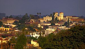 Archivo:Catedral de Melo desde Bº.Sóñora de día