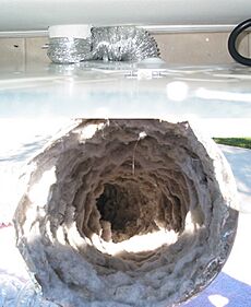 Archivo:Clothes dryer flex hose kinked