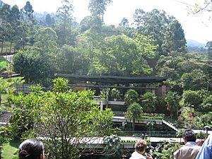Archivo:Ecoparque Los Salados de Envigado(7)