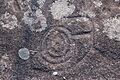 Ferraduras