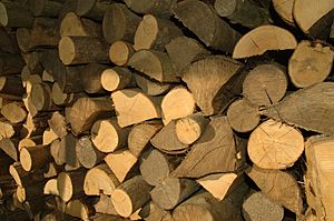 Archivo:Firewood to dry Luc Viatour