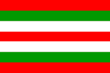 Flag of Tripoli reported.svg