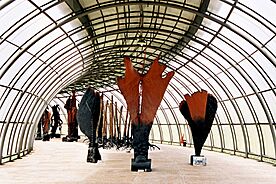 Archivo:Franz Krajcberg space
