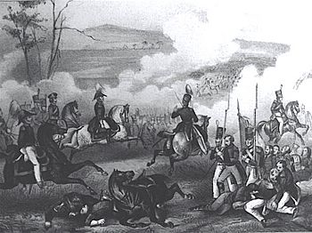 Archivo:General Zachary Taylor rides his horse at Palo Alto Battle - May 8, 1846
