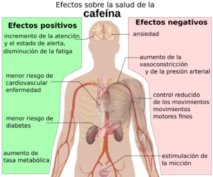 Archivo:Health effects of caffeine-es