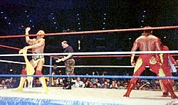 Archivo:Hulk Hogan And Brutus Beefcake