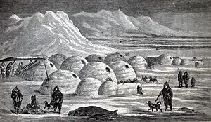 Archivo:Igloos