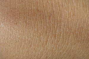 Archivo:Image skin texture