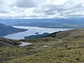 Kepler Track, New Zealand (35)