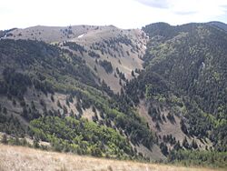 Lincoln National Forest along Crest Trail-Terrain.jpg