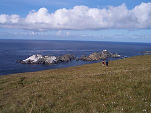 Archivo:Lower slopes of Hermaness Hill, Unst