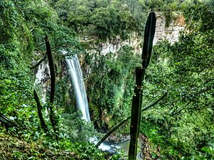 Archivo:Misiones - Salto Encantado (1)