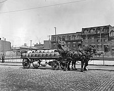 Molson's Brewery carriage Montreal 1908