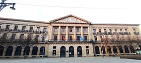 Palacio de Navarra (Avda Carlos III).jpg