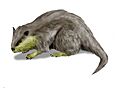 Palaeocastor BW