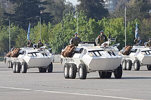 Archivo:Parada Militar 2014 (15291617532)