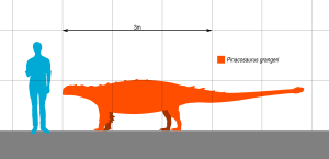 Archivo:Pinacosaurus Scale