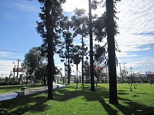 Archivo:Plaza Cívica de comuna de La Granja
