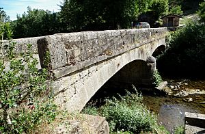 Archivo:Puente Alto de Morgovejo-LE sobre río Cea (1)