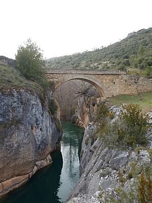 Archivo:Puente Tagüenza (vertical) de Huertapelayo