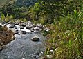 Quebrada La Chorrera Cerca A La Vereda El Sauce, C(2)