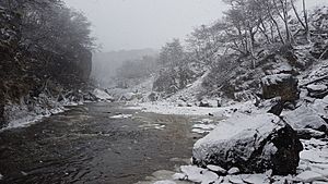 Archivo:Río Olivia