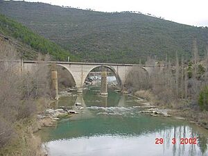 Archivo:RioGallegoRasal