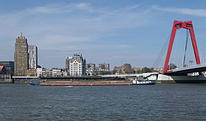 Archivo:Rotterdam, zicht op de Wijnhaven (met het Witte Huis-RM334003) en de Willemsbrug vanaf Noordereiland IMG 1851 2018-03-18 12.59