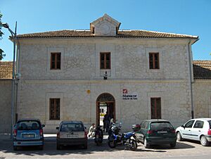 Archivo:SFM Manacor