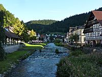 Archivo:Schiltach River in Schiltach