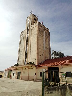Archivo:Silo de Torrejón el Rubio (2) 01