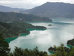 Archivo:Te Mahia Bay
