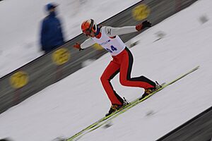 Archivo:Telemark landing Miyanomori