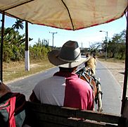 Transporte en Guayacanes