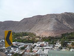 Valle de codpa.JPG