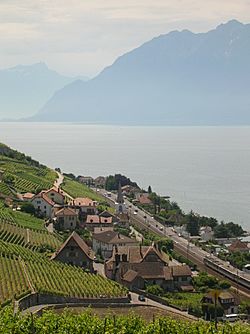 Villette (Lavaux), Suisse et lac Léman.jpg