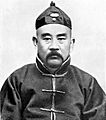 Zhang Xun2