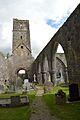 ARCHES in Kilcrea Abbey