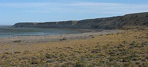 Archivo:Acantilado de Punta Guanaco