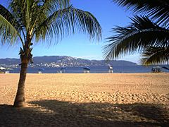 Acapulco - PlayaTamarindos