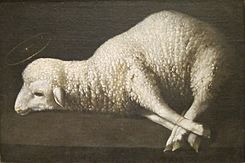 Agnus Dei (The Lamb of God) by Zurbarán, San Diego Museum of Art.JPG