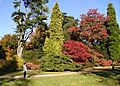 Arboretum.westonbirt.750pix