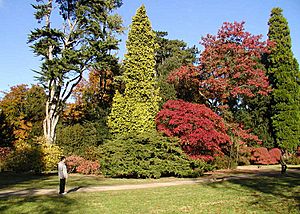 Archivo:Arboretum.westonbirt.750pix