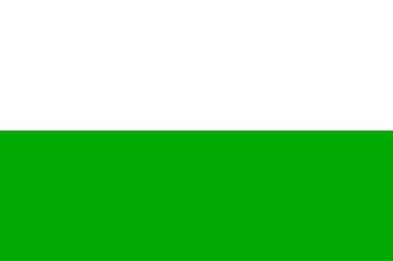 Bandera de Fusagasugá
