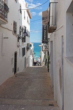 Archivo:Calle Santa Bárbara, Altea, Alicante, España, 2023-01-21, DD 45
