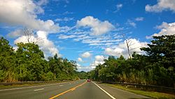 Carretera PR-142, Toa Alta, Puerto Rico.jpg