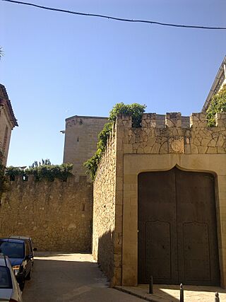 Castell-palau dels Espolters.jpg