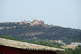 Castell de Palafolls.JPG