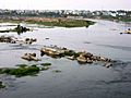Cauvery at Erode