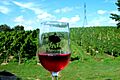 Cranberry wine